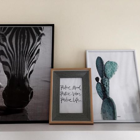 Minimal Apartment Kawala Zewnętrze zdjęcie